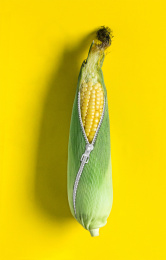 玉米