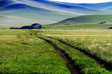 草原深处的小路 