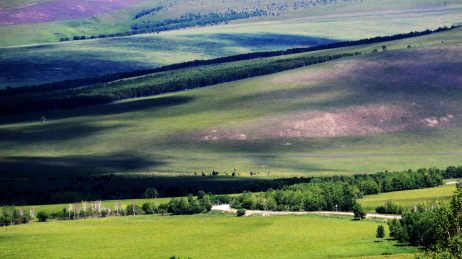 内蒙古草原道路