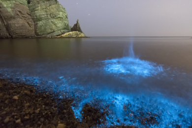 荧光海自然风光