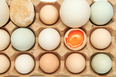 晶莹剔透、光滑圆润的鸡蛋