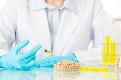 基因改造食物到处都是世界各地的现在