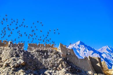 新疆喀什帕米尔高原石头城