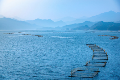 港湾曲线