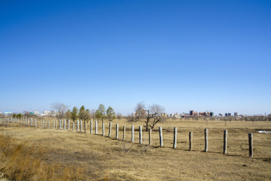 呼伦贝尔海拉尔国家森林公园