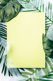 绿色植物叶子包围的空白纸张