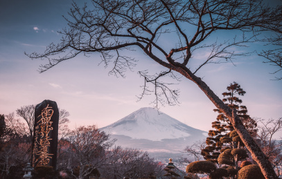 日本箱根平和公园远眺富士山