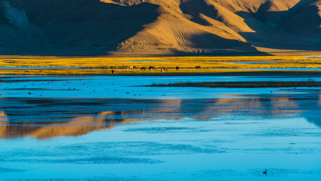 阿里地区班公错