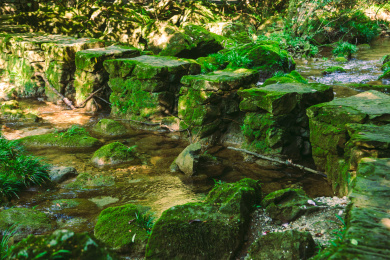 贵州茂兰国家级自然保护区