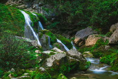贵州茂兰国家级自然保护区