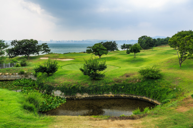 刘公岛的蓝天白云绿树草坪风光