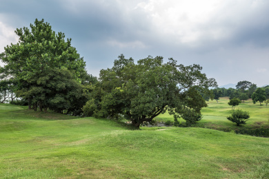 刘公岛的蓝天白云绿树草坪风光