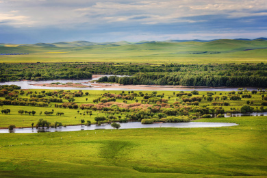 傍晚时分的湿地公园