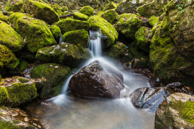 陕西秦岭太白山溪流山水风光