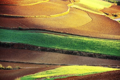 云南东川红土地