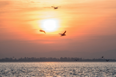 清晨红色的太阳