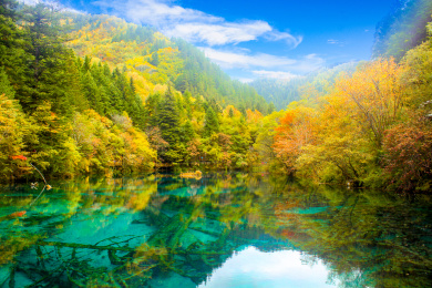 四川省阿坝州九寨沟五花海