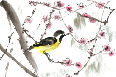 梅花小鸟水墨画