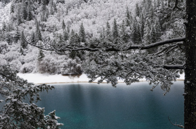 九寨沟五花海雾凇雪景