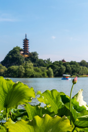 镇江金山公园