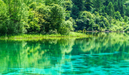 四川九寨沟海子水面