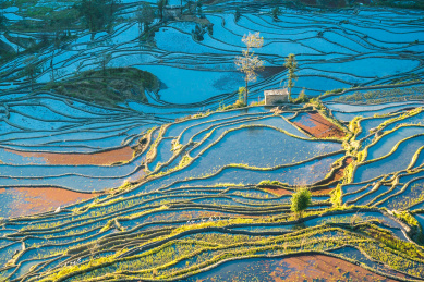 云南元阳哈尼梯田