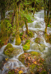 九寨沟溪流景色 