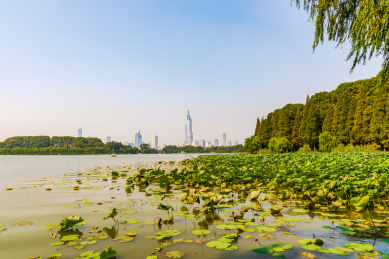 南京玄武湖风光