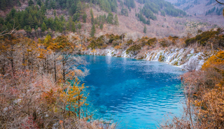 冬季的九寨沟树正群海