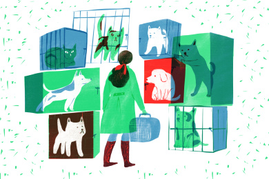 笼子里等待领养的小猫小狗