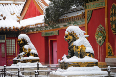 北京故宫养心殿铜狮