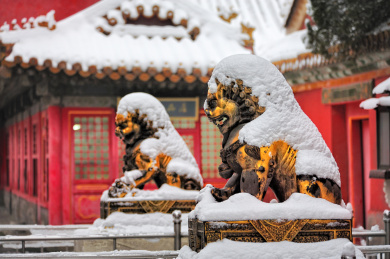 北京故宫养心殿铜狮