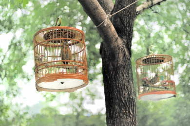 北京传统民俗特色鸟笼