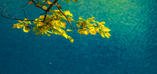 四川九寨沟秋景