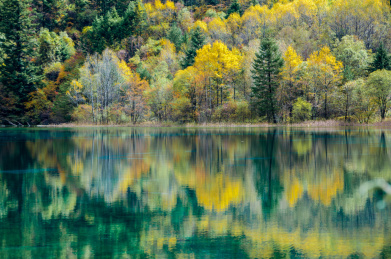 四川九寨沟秋景