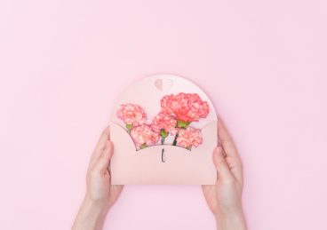 粉红色的康乃馨