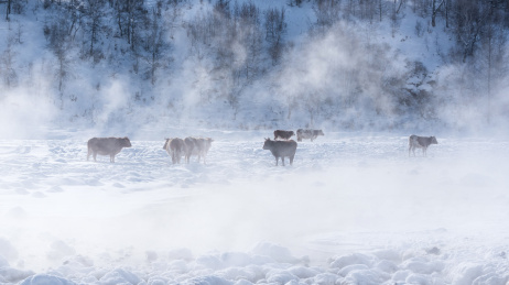 阿尔山冰雪世界