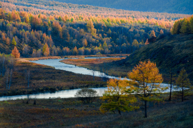 呼伦贝尔秋景