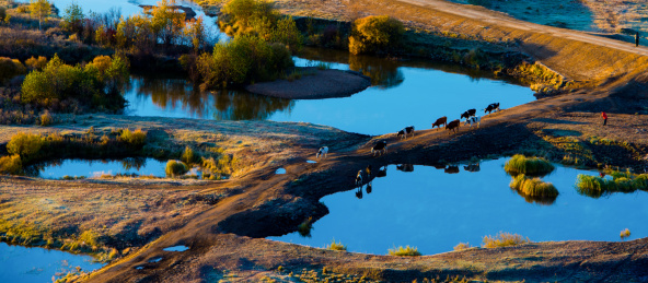 呼伦贝尔秋景