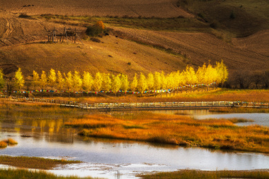 云南香格里拉秋景