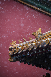北京故宫雪景