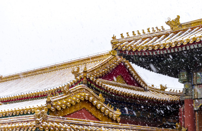 2019北京故宫春雪