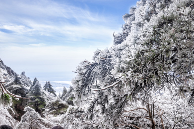 安徽黄山风景区冬雪云海风光