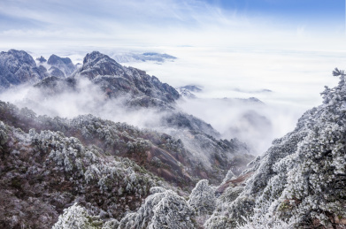 安徽黄山风景区冬雪云海风光 