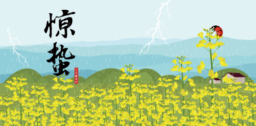 惊蛰轮播图广告设计