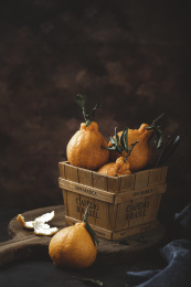 四川不知火丑柑