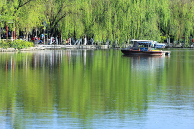 中国云南省昆明市翠湖公园里春色满园