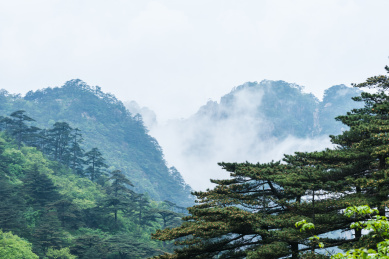 安徽黄山风景区的奇峰怪石