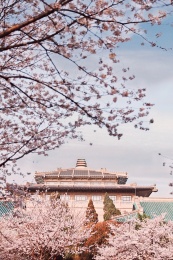 武汉大学樱花建筑交相辉映