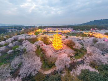 武汉东湖磨山樱园景区